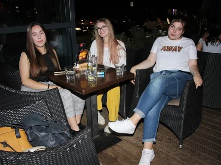 Opis slike