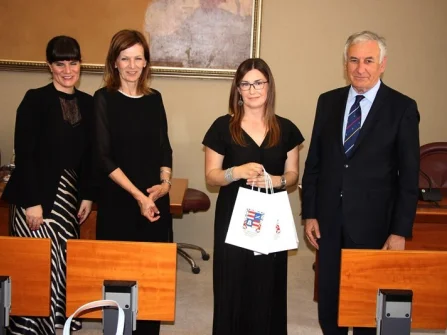 Opis slike
