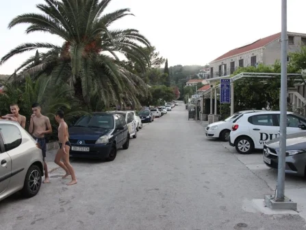 Opis slike