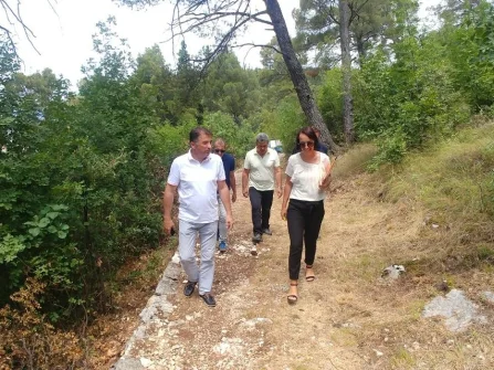 Opis slike