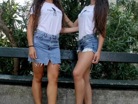 Opis slike