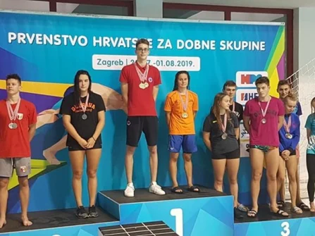 Opis slike