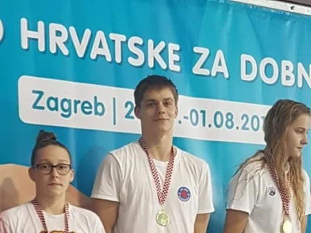 Opis slike