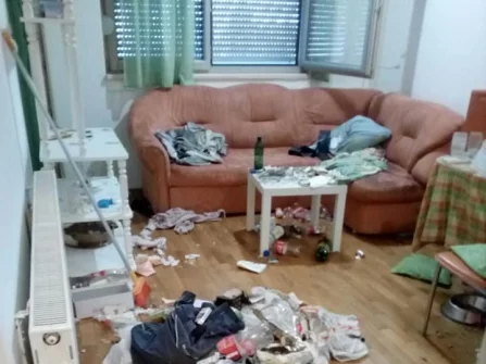 Opis slike