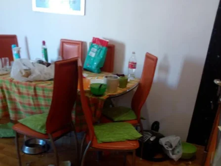 Opis slike