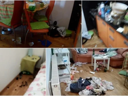 Opis slike