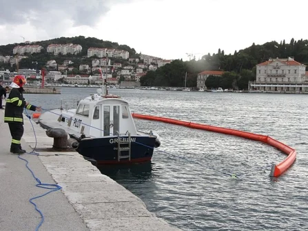 Opis slike