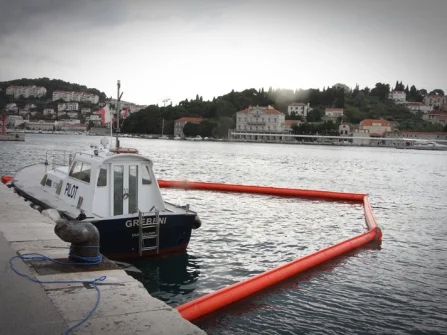 Opis slike