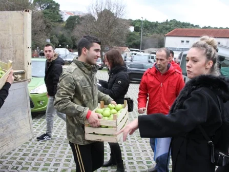 Opis slike