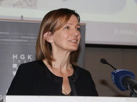 Opis slike