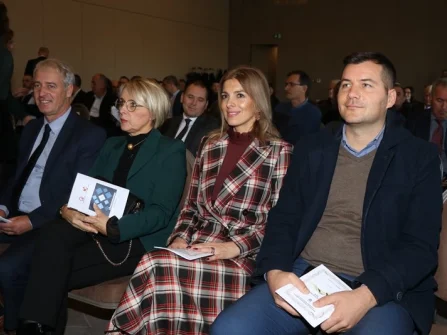 Opis slike