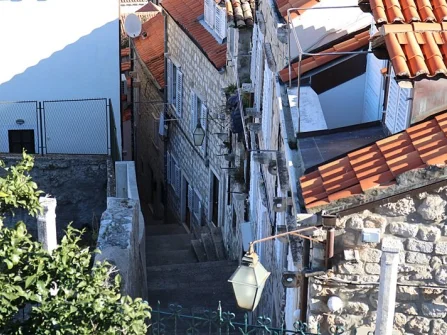 Opis slike
