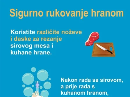 Opis slike