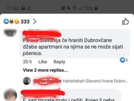 Opis slike