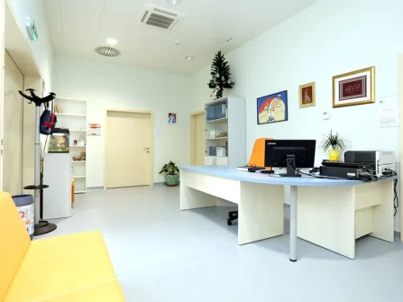 Opis slike