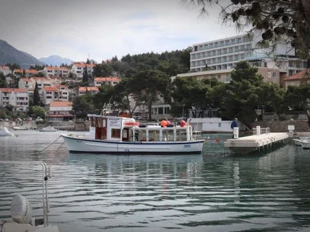 Opis slike