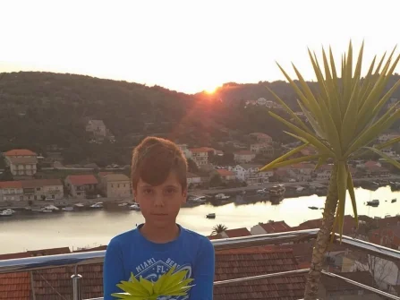 Opis slike