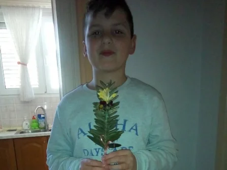 Opis slike
