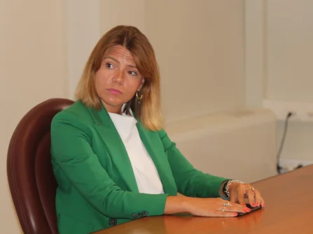 Opis slike