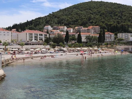 Opis slike