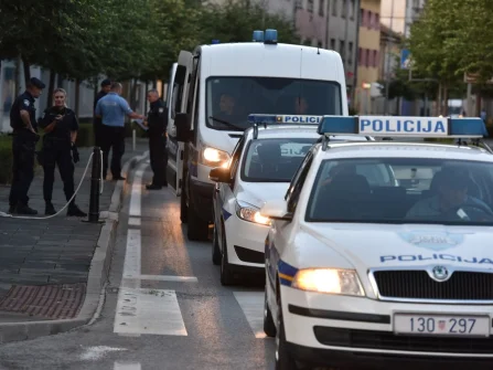 Opis slike