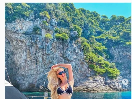 Opis slike