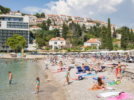 Opis slike