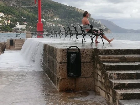 Opis slike