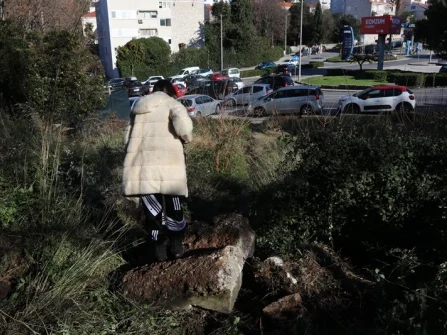 Opis slike
