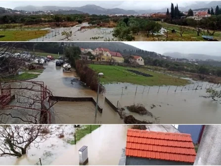 Opis slike