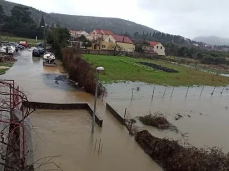 Opis slike