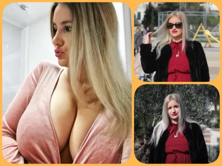 Opis slike
