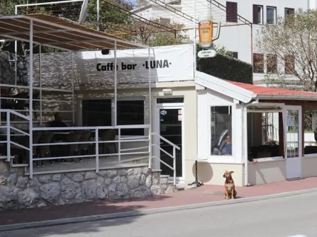 Opis slike