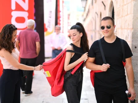 Opis slike