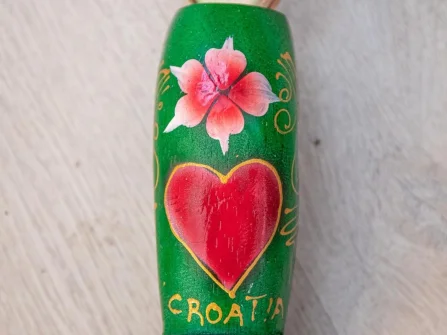 Opis slike
