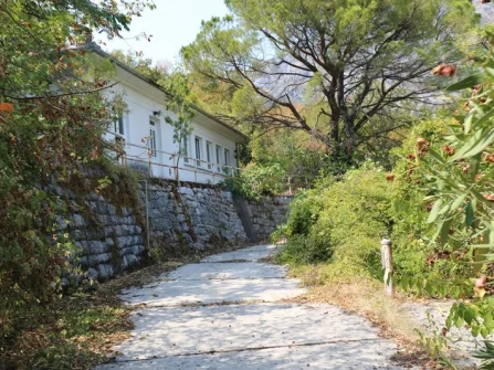 Opis slike