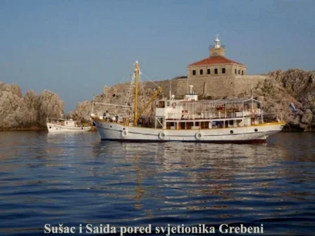 Opis slike