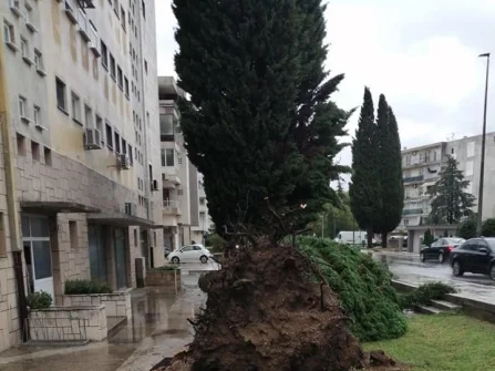 Opis slike