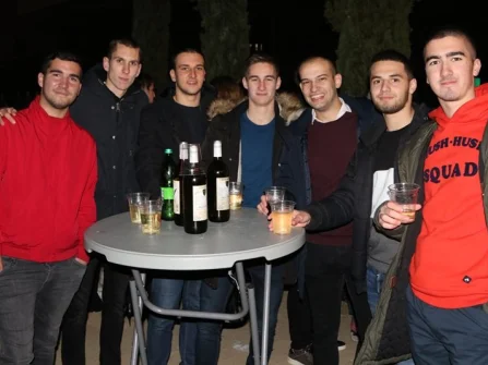 Opis slike
