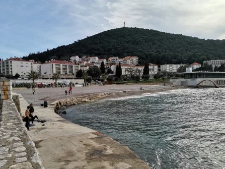 Opis slike