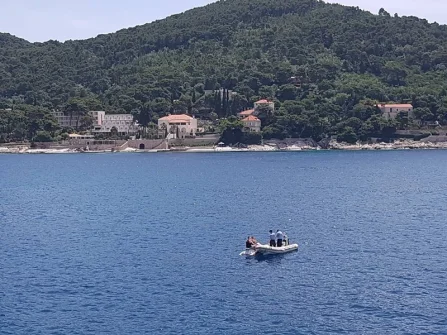 Opis slike
