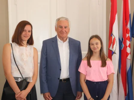 Opis slike