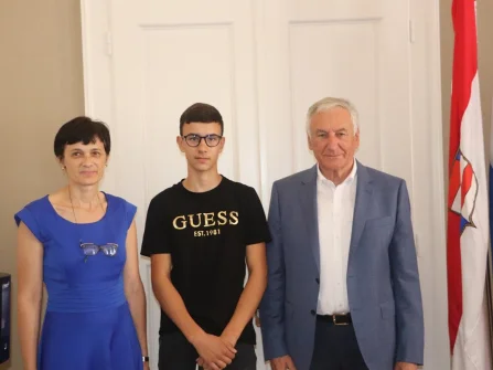 Opis slike