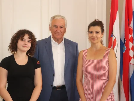 Opis slike