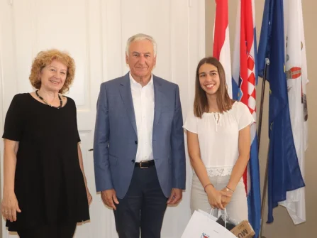 Opis slike