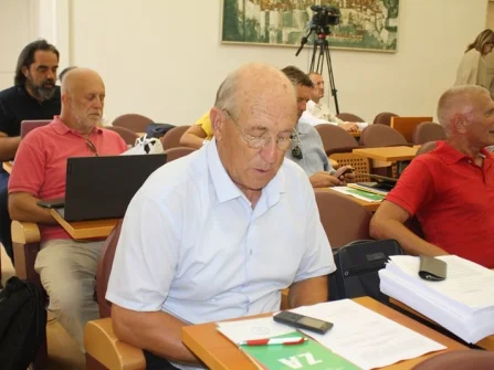 Opis slike