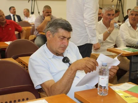 Opis slike