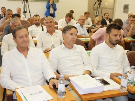 Opis slike