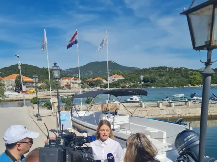 Opis slike