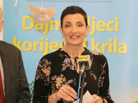 Opis slike